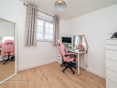 Picture 21